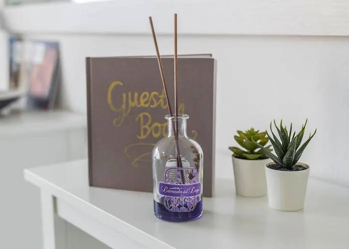 New Eleven On Apartamento